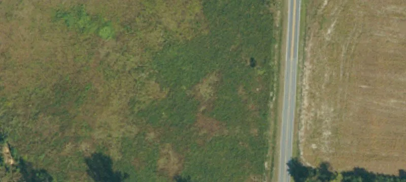 Magnolia Church Rd