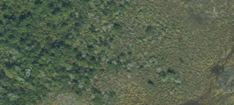Cedar Island, NC 28520