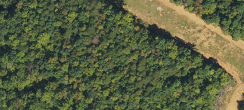 Dixon School Rd, NC