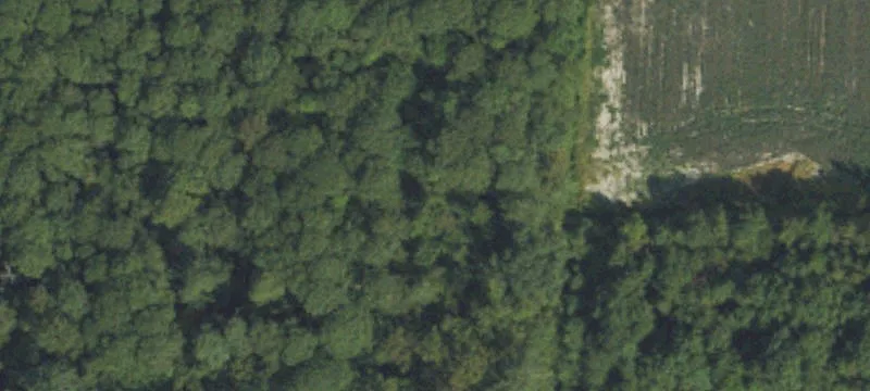 3101 Nc Hwy 55th E