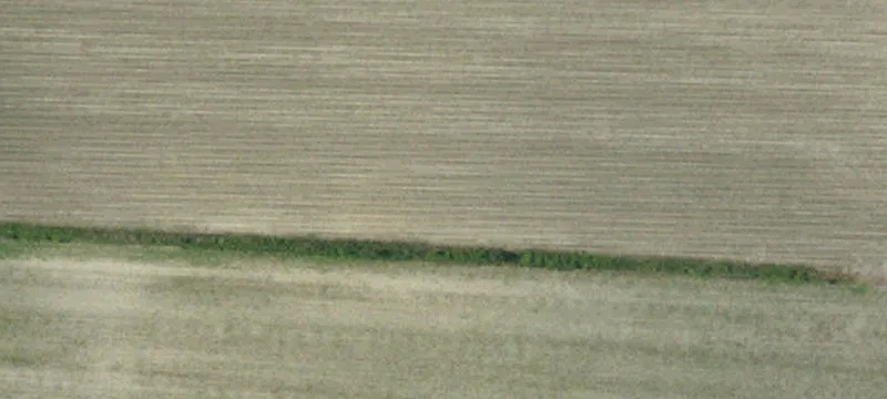 5559 Us Hwy 117th Alt