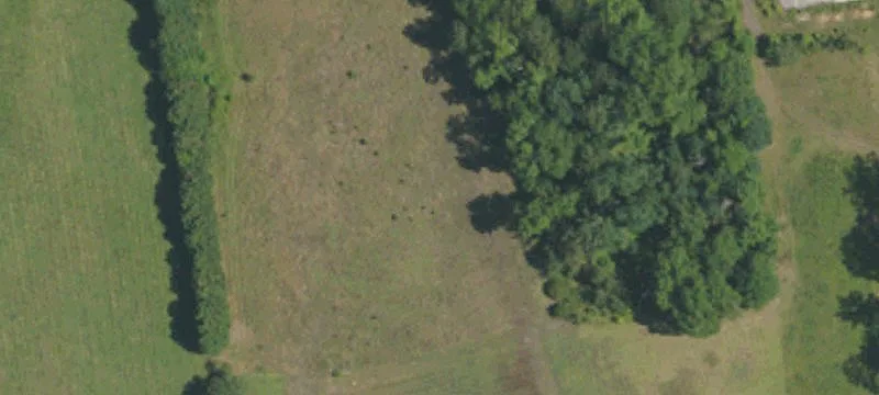 Nc Hwy 51st E