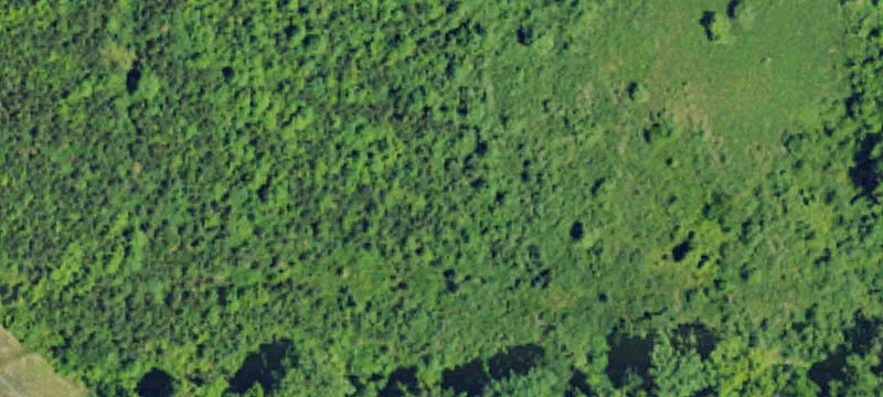 1233 Burchette Rd