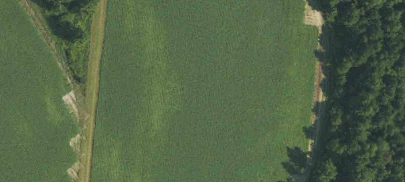 111 Nc Hwy