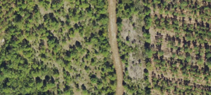Ivanhoe, NC 28447