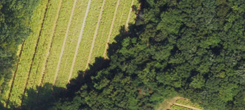 Timberlake, NC 27583