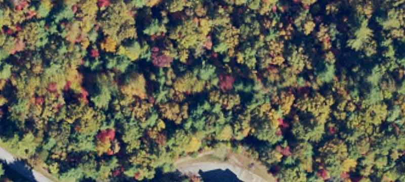Cascade Run-com Area F F