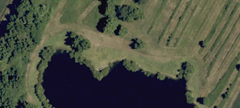 Magnolia Rd