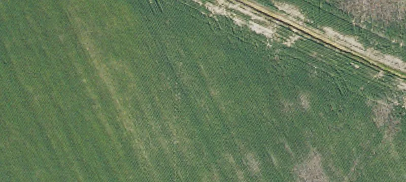 Nicken Farm Ln