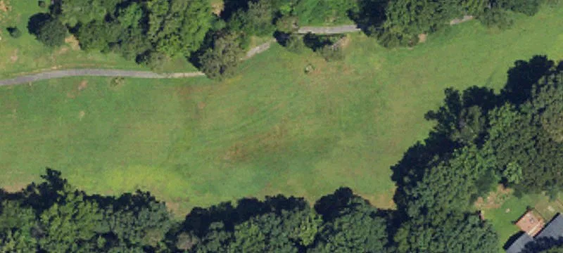 Turfwood Dr