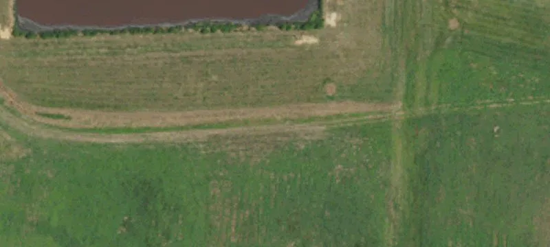 Coker Store Rd