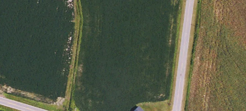 Wrye Br Rd