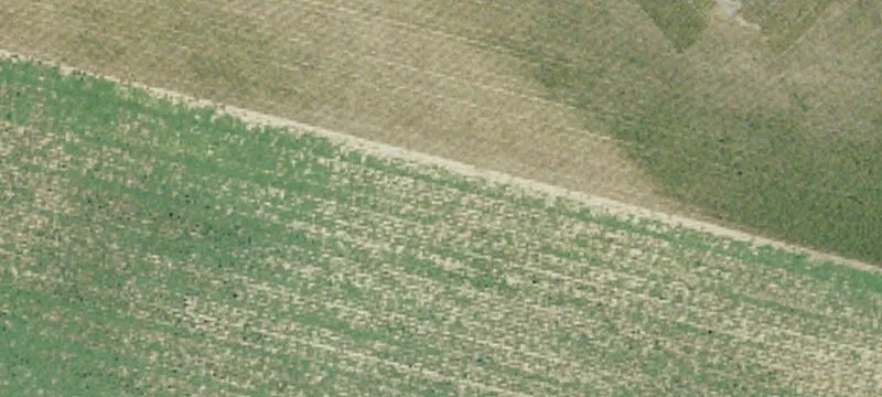 2018 Feed Ml Rd