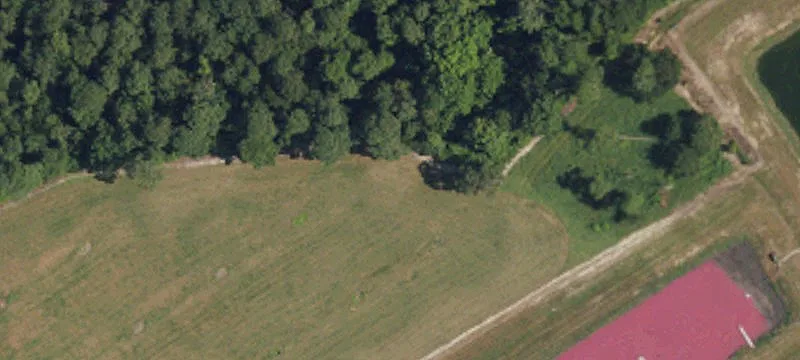 Peterson Rd
