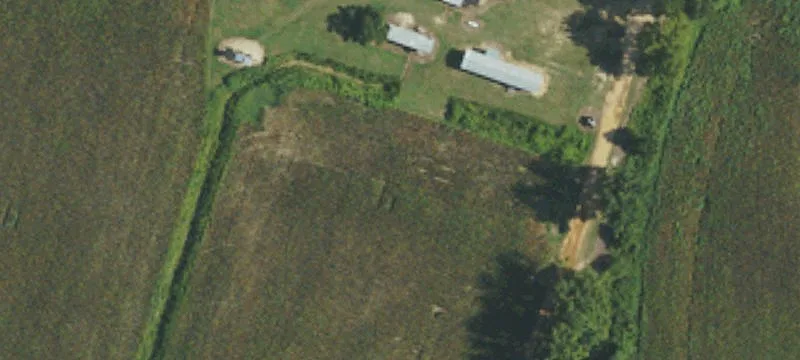 Auctioneer Rd