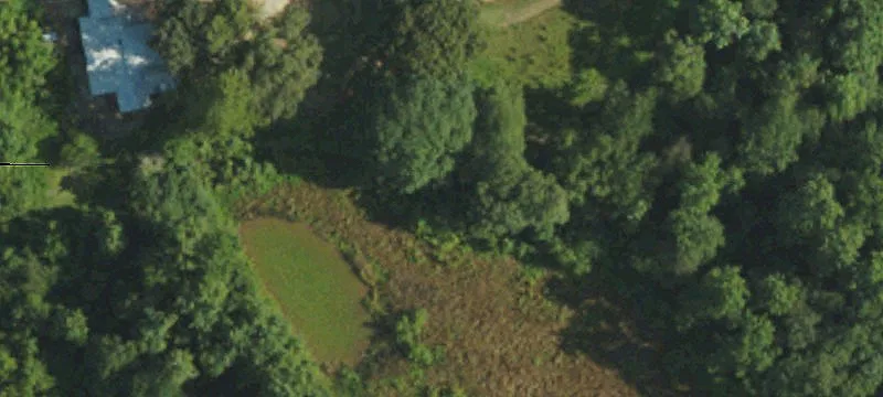 358 Covington Ln