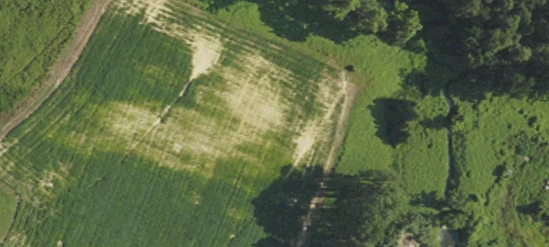 805 Burch Rd