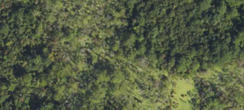 Tomahawk Hwy
