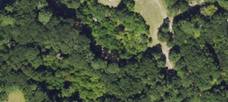 Wildcat Rd
