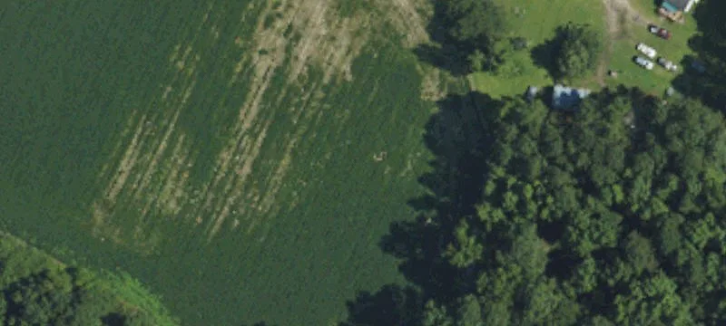 2094 Harrells Hwy