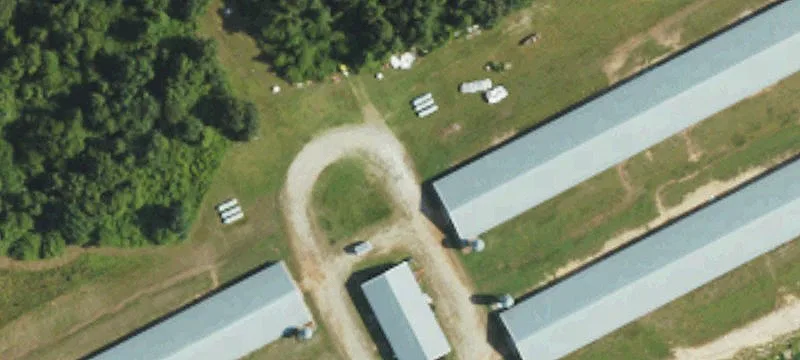 3813 Reedsford Rd