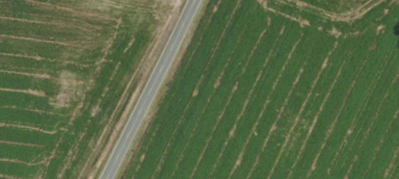 Beaman Woods Rd