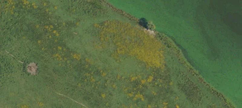 Grn Path Rd