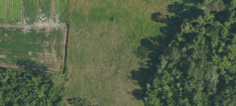 Nixon Rd