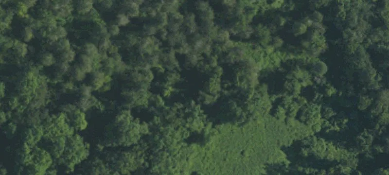 1301 Sunset Ave, Unit 1351