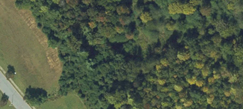 Gregory Dr