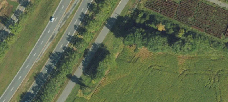 Whitaker Ln