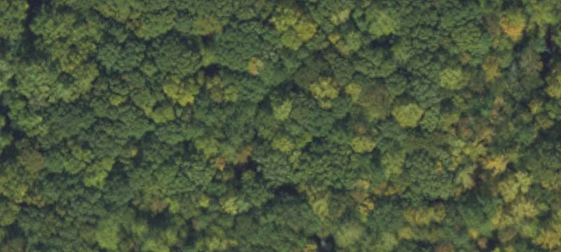 Patch Rubber Rd, NC