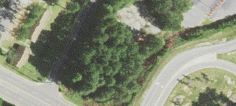 Morganton Rd