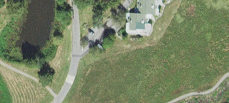 Bald Cypress Ct