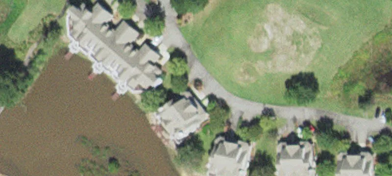 Dogwood Ln