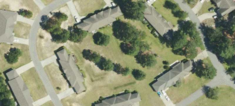 Foxtail Ln