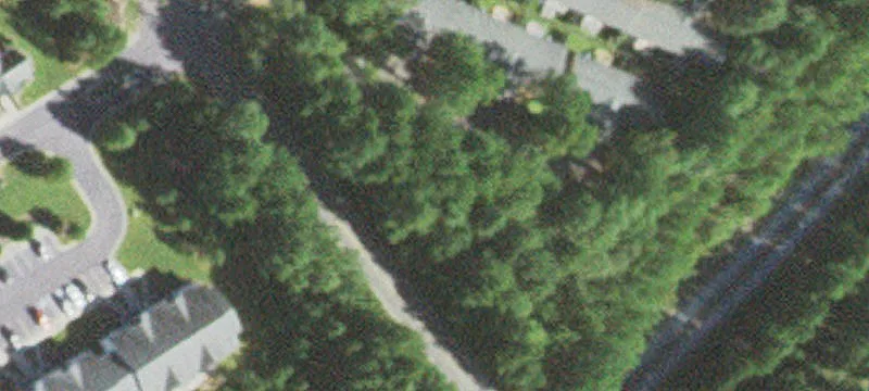 Saunders Blvd