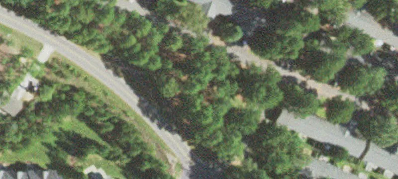 Saunders Blvd