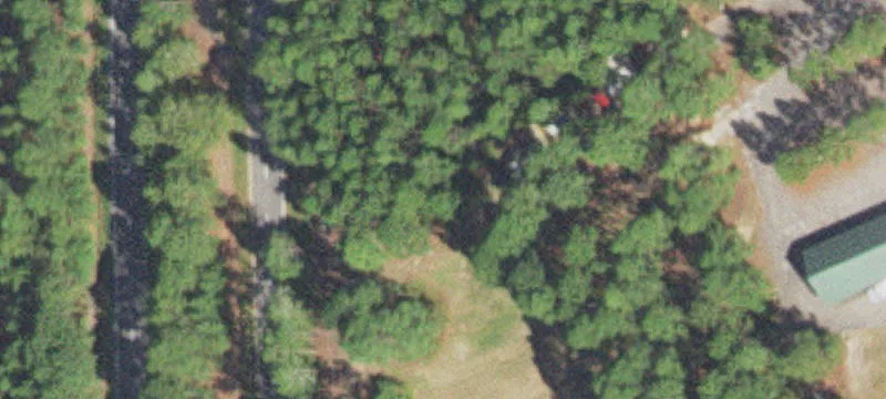 Waxmyrtle Ct
