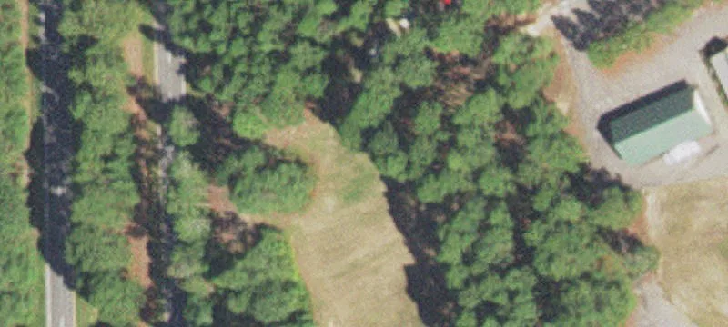 Waxmyrtle Ct