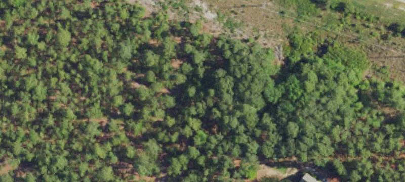 Carolina Hwy, Unit 211