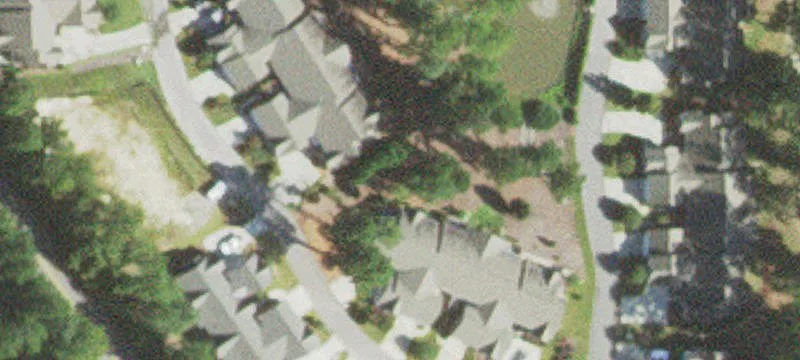 Lighthorse Cir