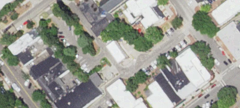 10 Camelia Way