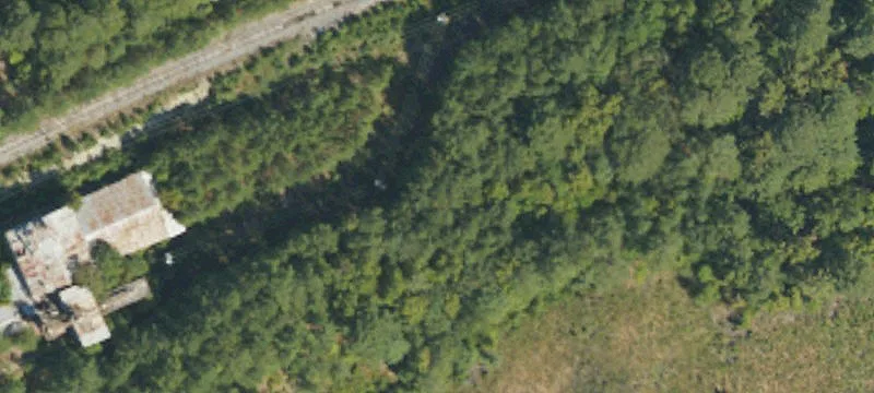 Glendon-carthage Rd