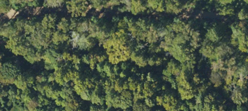 Huntersville, NC 28078