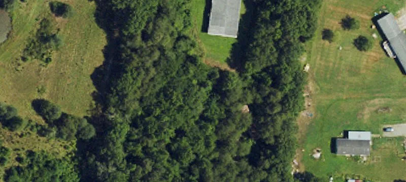 Basil Holt Rd