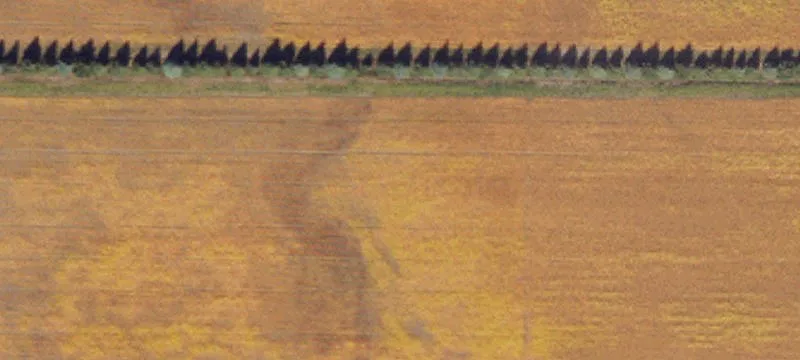 Reynolds, ND 58275