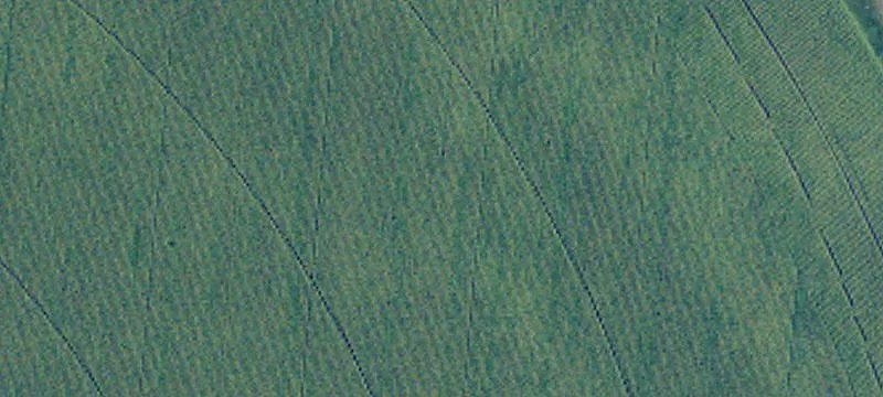 Tappen, ND 58487