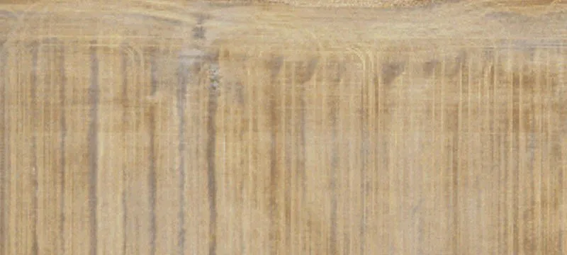 Nekoma, ND 58355