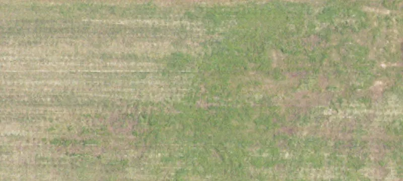 Hettinger, ND 58639